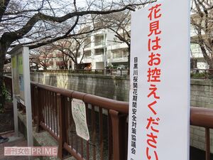 目黒川では「花見はお控えください」と明確なメッセージ