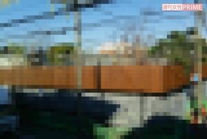 “キラキラ大豪邸”