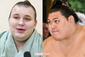 大関・安青錦と横綱・大の里