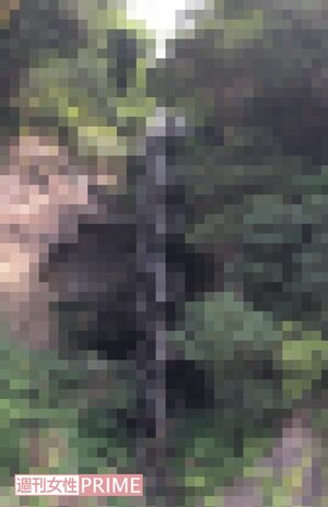 下は別荘の裏手から海岸まで下ろされた階段