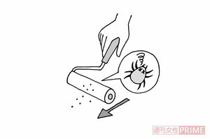 イラスト/武曽宏幸