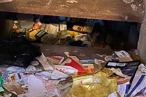 心筋梗塞を患った男性の自宅。ゴミの中に猫が……（動物虐待インターベンション提供）