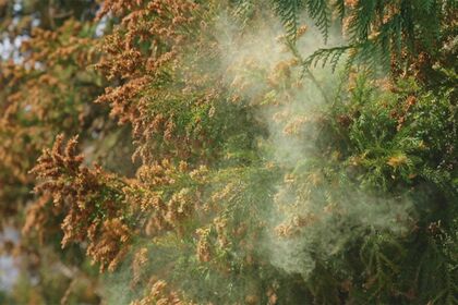 ※写真はイメージです