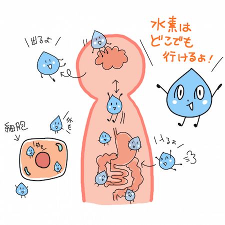  身体の中、細胞の中、脳の中……。どんなところでも入っていける抗酸化物質は水素だけ。副作用はないけれど、とりすぎても、自然に外へ抜け出てしまうので安心