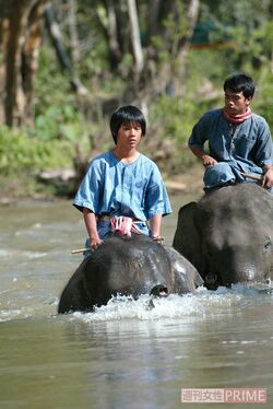 映画『星になった少年』で哲夢さんを演じた柳楽。タイでの海外ロケでのひとコマ
