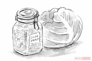 乳酸発酵キャベツ　イラスト／大塚さやか