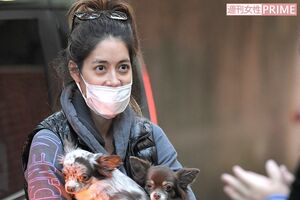 愛犬を抱え直撃取材に15分以上も真摯に答えてくれた、森泉
