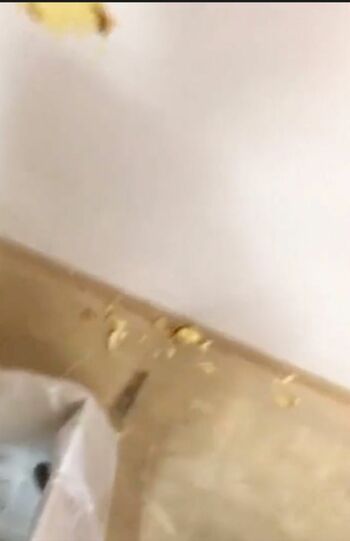 SNS拡散された『美少年』那須雄登とされる男性の動画、壁に投げつけられたシュークリームの残骸