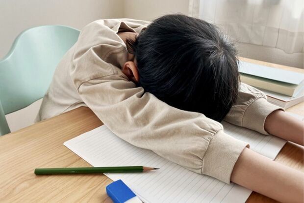 写真はイメージです