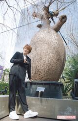 南米を中心に生育している「トックリキワタ」。別名は“酔っ払いの木”らしい　撮影／矢島泰輔