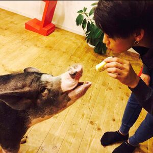 大岡くんとはなこ