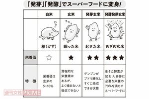 「発芽」「発酵」でスーパーフードに変身！　イラスト／おおつかさやか