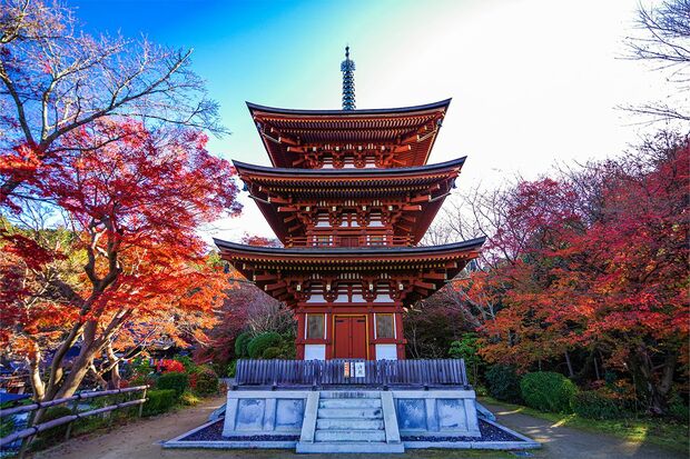 高さ15.4mの三重宝塔。塔の朱色と左右の紅葉が青空に映える