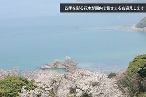 春には桜と海のコントラストも楽しめる(二見ヶ浦公園聖地公式サイトより)