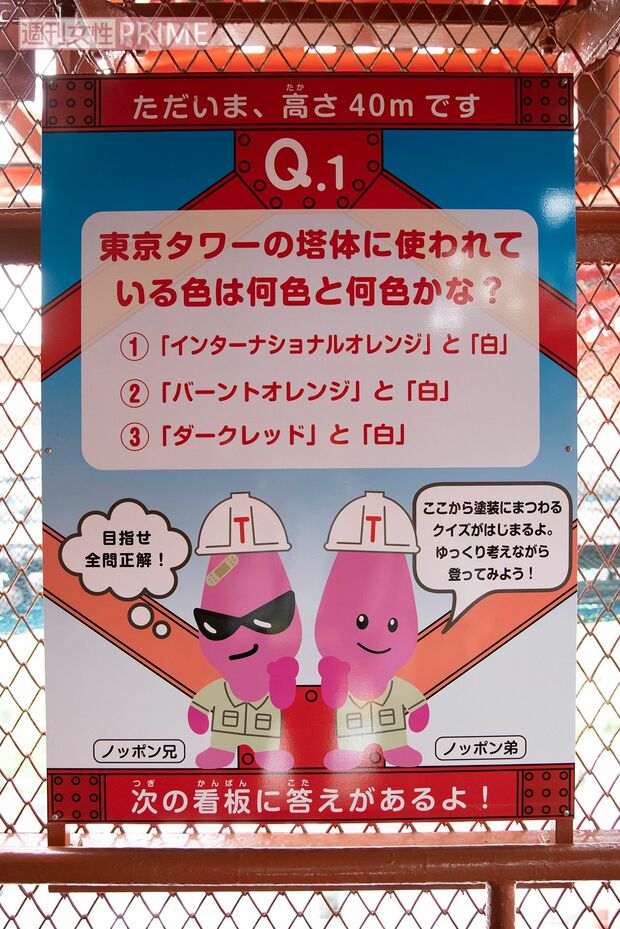 【100段】随所に親子で楽しめるクイズパネルを設置。上れば答えがわかる!　撮影／北村史成