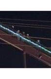 緊急停止から約1時間半後に避難が終了（SNS上で拡散された動画より）