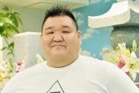 プロレスラー・若翔洋、日本人力士弱い訳「稽古がソフトに」