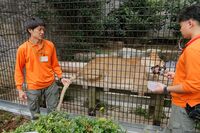 日本一動物に優しい「ハズトレ」動物園が福岡にあった!