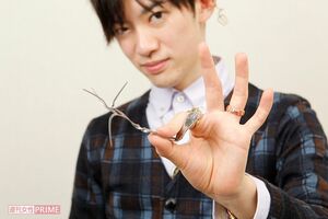 フォークをグニャリと曲げる、メンタリストのDaiGo