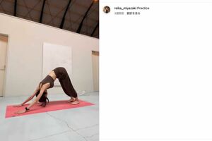 “激ヤセ”姿が話題になっている実業家でインフルエンサーの宮崎麗果こと黒木麗香(本人のインスタグラムより)