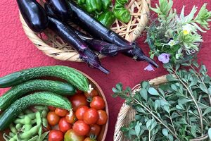 早朝から畑に行き野菜を収穫、伊武雅刀さんの写真がおしゃれ