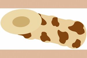 ちくわ(画像はイメージです)