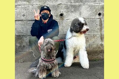 木村拓哉の 犬アカ に登場する愛犬の犬種が キムタク売れ で高騰か 1頭100万円 のお値段に 週刊女性prime