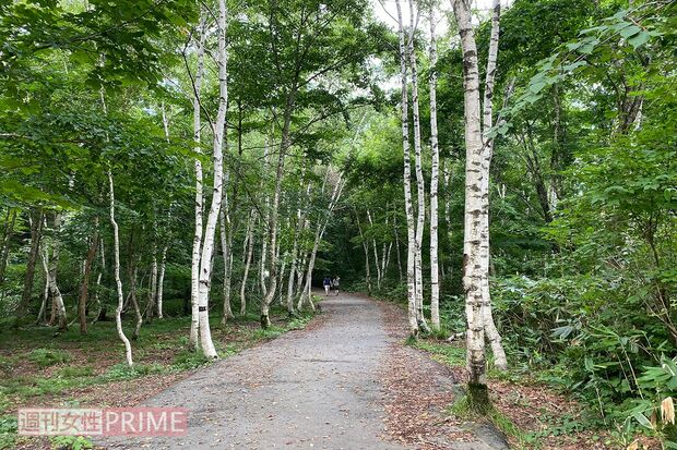 グリーンステージからホワイトステージに向かう道（'20年8月）