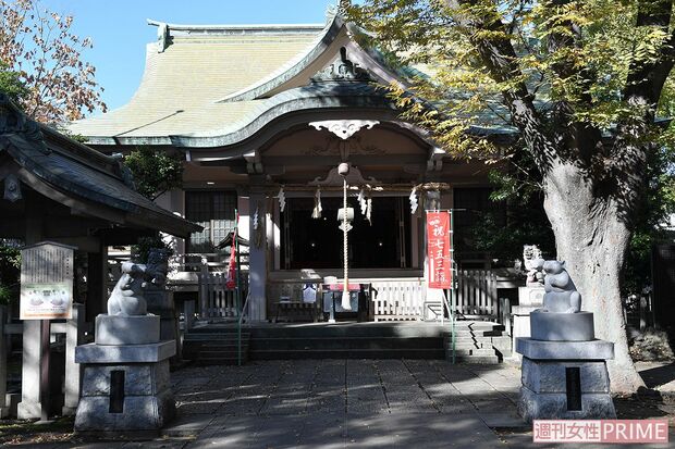 厳かな雰囲気の杉山神社社殿　撮影／渡邉智裕