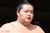 《大相撲》脱輪車を救助の大関・琴櫻「普通のこと」、銭湯で救命、自死女性を川から救った力士たちの深くて…