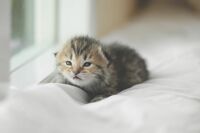 【心理診断】今、気になるあの人と恋の運気はどんな感じ?