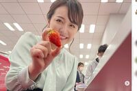 テレビ東京・相内優香アナ マルイ御曹司のNHK・青井実アナとの結婚で直面する、元フリーアナの義姉・山岸…