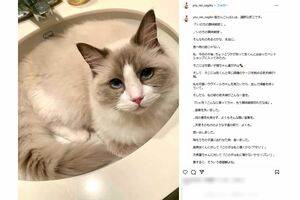 『いのちの賞味期限』について論じた遠野なぎこの投稿（本人インスタグラムより）