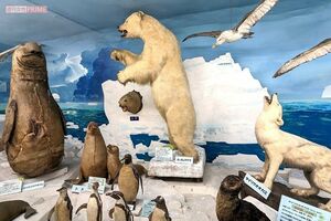 つやま自然のふしぎ館　撮影／編集部