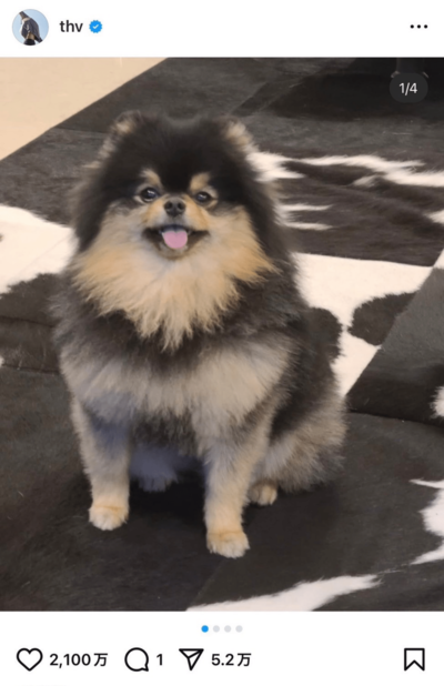 BTS・V、兵役中に愛犬ヨンタンの“旅立ち”を報告で「ちゃんと会えたかな