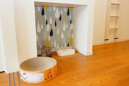 写真提供／木津イチロウさん