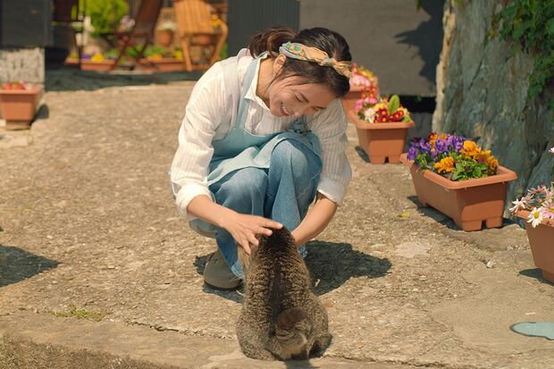 『ねことじいちゃん』2月22日（金）全国ロードショー
(C)2018「ねことじいちゃん」製作委員会
配給：クロックワークス