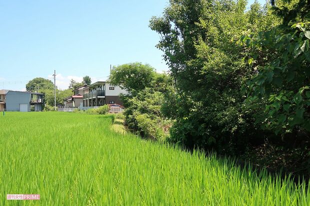 近隣には多くの田んぼが