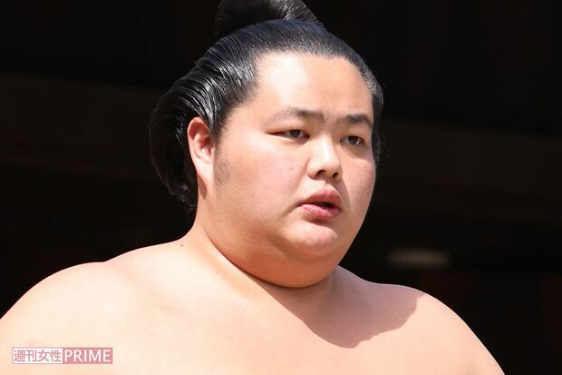 琴櫻