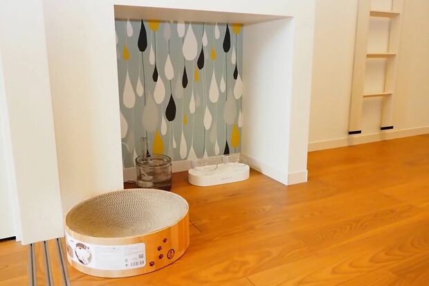 写真提供／木津イチロウさん