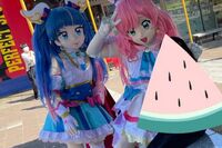 「女児が抱きついてきたり抱っこしたりしました」プリキュアのコスプレ男性による“グリーティング活動”に…