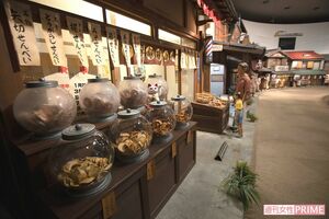 昭和30年代の「帝釈天参道」をイメージしたジオラマ。細部まで作りこまれている　撮影／齋藤周造