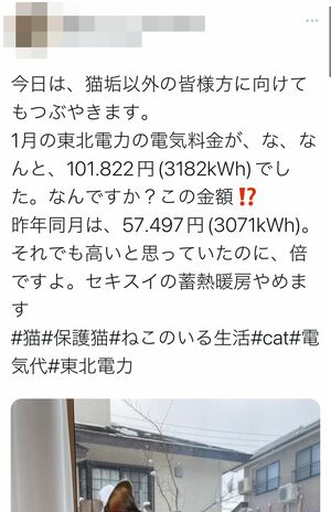 平田さん（仮名）が1月12日に投稿したツイートは14万以上の閲覧数で話題に