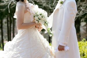 ※写真はイメージです