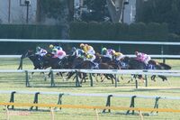 競馬学校の卒業生がゼロに！スマホ不使用などが原因か、競輪選手は「ギャンブルの駒を養成する所」と厳しい…