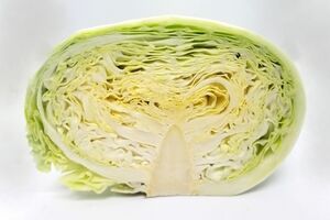 ※写真はイメージです