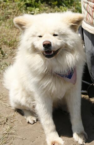 わさお　撮影／竹内摩耶