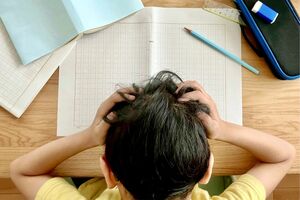 ※写真はイメージです