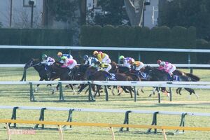 スマホ使用で処分が相次ぐ競馬界（写真はイメージです）