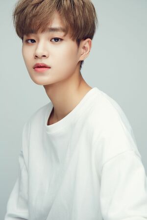 イ・デフィ　（c）CJDigitalMusicAllrightsreserved.（c）2017PONYCANYONINC.